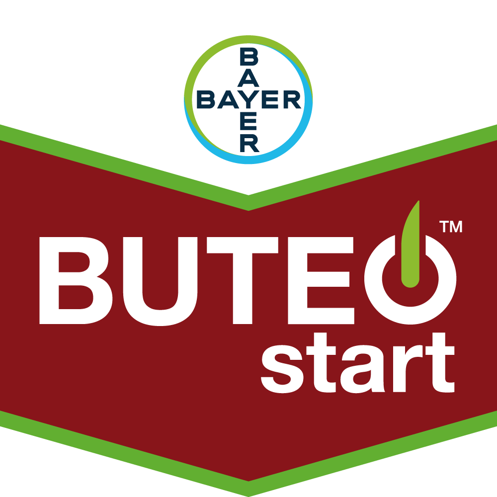 Bayer plus rewards 